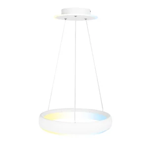 PLAFON SUSPENDING SMART TUNABLE WHITE 30W