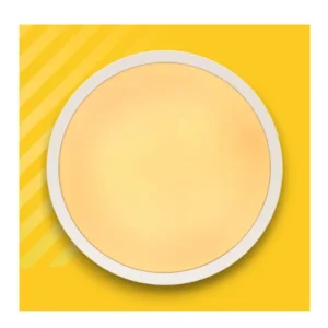 PANEL LED 24W ALT REDONDO 3000K 1800LM ADOSABLE