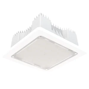 Luminarias Canopy